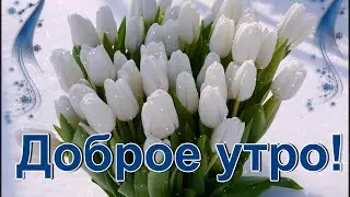 С добрым утром!  Красивая музыкальная открытка. Чекалин.