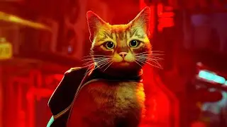 Stray.Игра про котиков.Новинка.