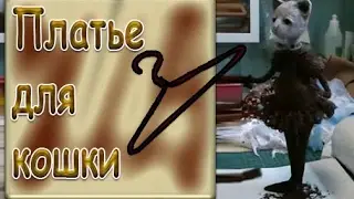 #7.1 Платье для кошки.