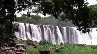 Sonidos de la naturaleza, sonidos de cascada