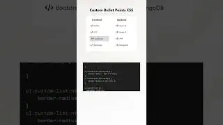 Custom List Style in CSS | Custom Bullet Points with Icons 