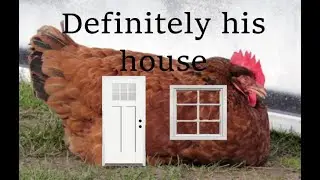 Going to Colonel Sanders house, definitely  -  I love you Colonel Sanders Ep 2