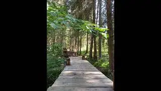 КАРЕЛИЯ. Городище ПААСО, поднимаемся в гору.