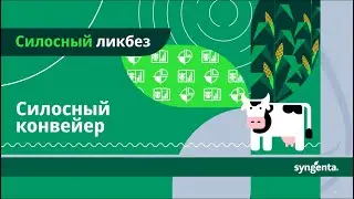 Силосный ликбез: планируем кормозаготовку