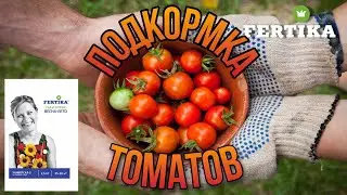 Подкормка помидор удобрением Универсал - 2 Сад и огород (Весна - Лето).