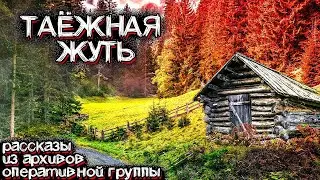В Этой Тайге Творятся Необъяснимые Вещи. Рассказ Оперативника | Мистические Страшные Истории на ночь