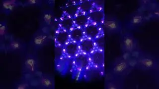 21 июня 2024 г.