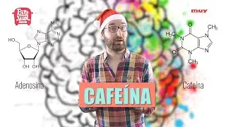 La cafeína | Neurocosas 20