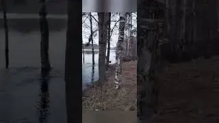 мертвый водопад иногда оживает