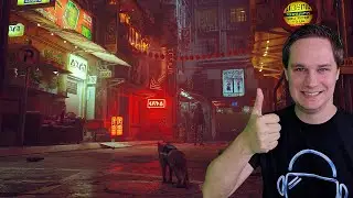 Lasst uns mal ein süßes kleines Kätzchen spielen - Stray