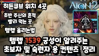 Aion 2: A Guide to Beginner and Experienced Content from the Level 1539 Palace (How to Level Up, ...