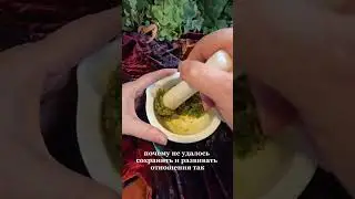 Генитальный герпес как программа недостойности 