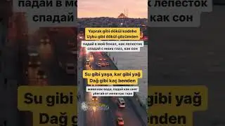 Учим турецкий с песнями #турецкий #турецкийязыконлайн #турция #funny