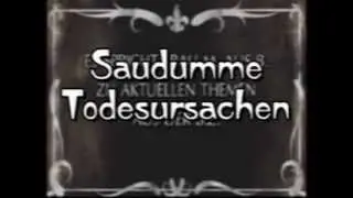 Die besten Synchro-Verarsche Videos