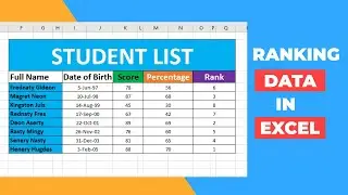 Ranking Data in Excel Like a Pro: Step-by-Step Guide to Master Excel (Even Beginners!)
