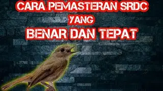 CARA PEMASTERAN SRDC YANG BENAR DAN TEPAT