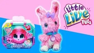 Scruff-a-Luv Bunny! Limited Edition + Bath Time with Moana And Elsa