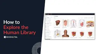 How to Explore the Human Library