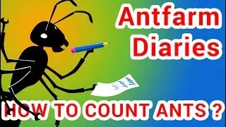 How to count ants in the colony?