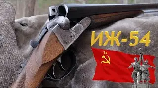 👍 💥 ИЖ-54 ЛУЧШЕЕ ГОРИЗОНТАЛЬНОЕ РУЖЬЕ СССР