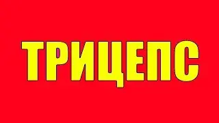 КАК НАКАЧАТЬ ОГРОМНЫЙ ТРИЦЕПС