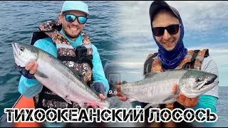 Морская рыбалка на Сахалине 2025, Кета.
