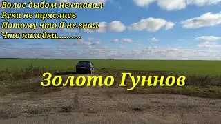 И ПОДУМАТЬ НЕ МОГ ЧТО ЭТО ЗОЛОТО ГУННОВ. КОП 2021. НАХОДКИ С ФОРТУНА ПРО 2.