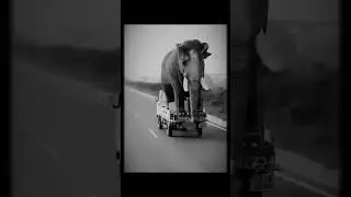 song: MAXPVNK- GSM, 30.08