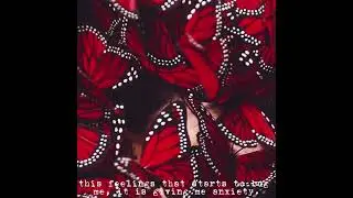 the butterflies