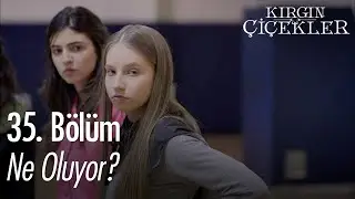 Fotoğrafı herkes görüyor! - Kırgın Çiçekler 35. Bölüm