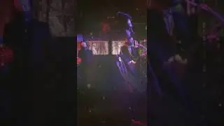 'Frozen Pines' from 'Alive from Whispering Pines' ep. 424. Out now #shorts