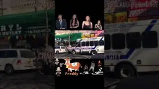 Runaway Cow Saved Escapes Queens Slaughter House