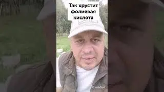 Как хрустит фолиевая кислота!?