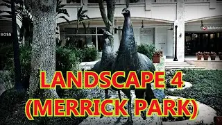 Landscape 4 (Merrick park)