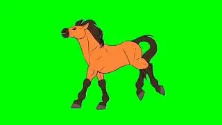 Beautiful Running Horse Green screen 4K Video