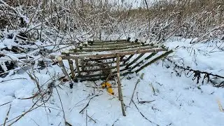 I WAS FISHING FOR A PHEASANT AND CAUGHT A PREDATOR!!! The pyramid in the reeds surprised me with ...