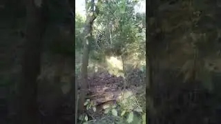 Расчистка участков, уборка, покос травы, удаление деревьев Киев. Вывоз мусора, Услуги спецтехники.