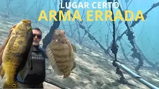 Lugar Certo  Arma Errada.