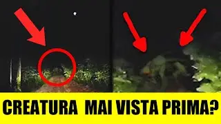 Entità Catturate A Video Per LA PRIMA VOLTA