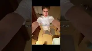 никогда! ❗️❗️❗️ 