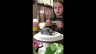 Paperweight Craft fro Kids