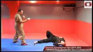 Рукопашный бой Шоу-Дао 2014г. Ч.3 \ Shou-Tao martial arts 2014 pt.3