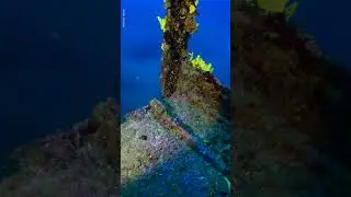 Exploring Sunken WWII Planes 🛩🔍