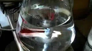 The Vortex !!, of hoe je wort belucht kan worden