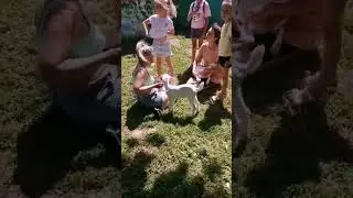 Экскурсия на нашу ферму. 