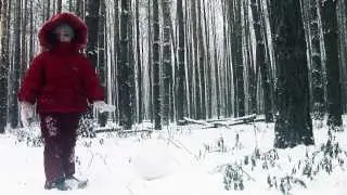 Снего-Вик )