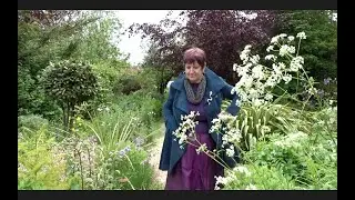 An Irish Pagan Life