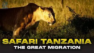 Exploring Serengeti National Park Tanzania Safari | The Great Migration