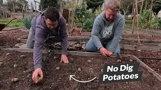 Planting No Dig Potatoes in the Rain - Spring Garden Tour