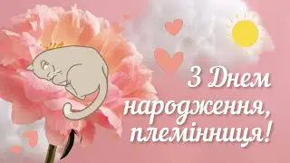 Привітання з Днем народження племінниці! Красиве відеопривітання з Днем народження!